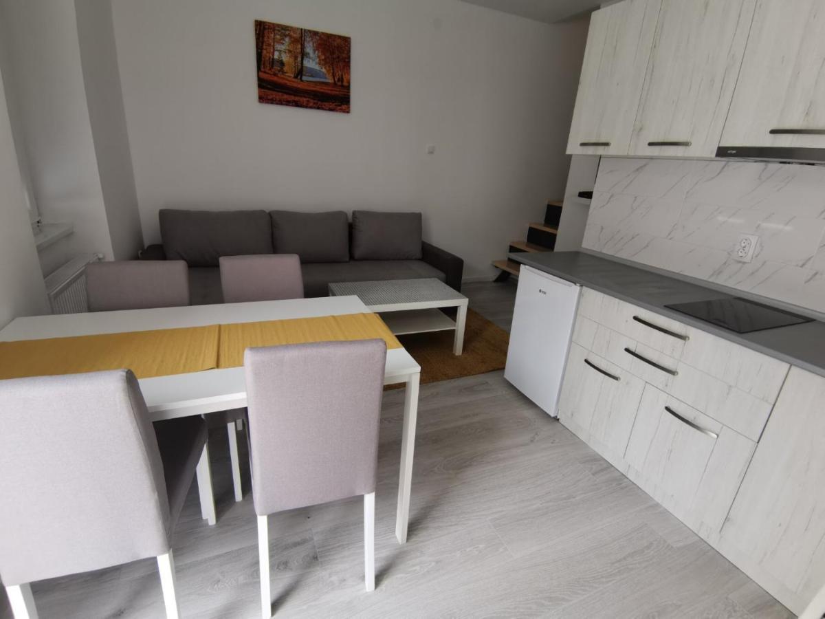 Ris Central Apartments Nowy Sad Zewnętrze zdjęcie