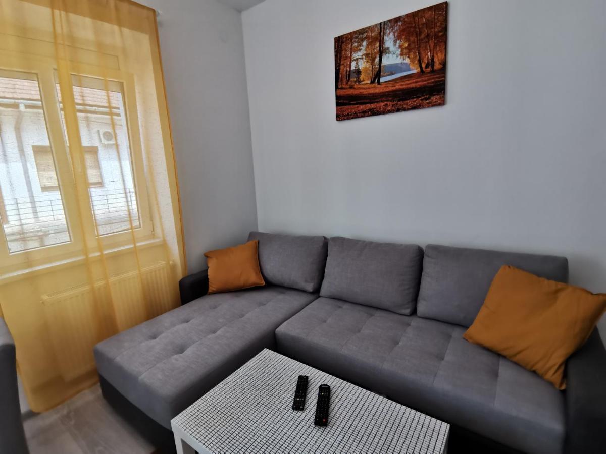 Ris Central Apartments Nowy Sad Zewnętrze zdjęcie