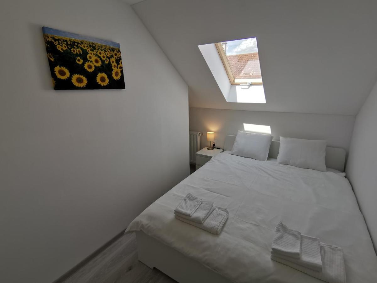 Ris Central Apartments Nowy Sad Zewnętrze zdjęcie